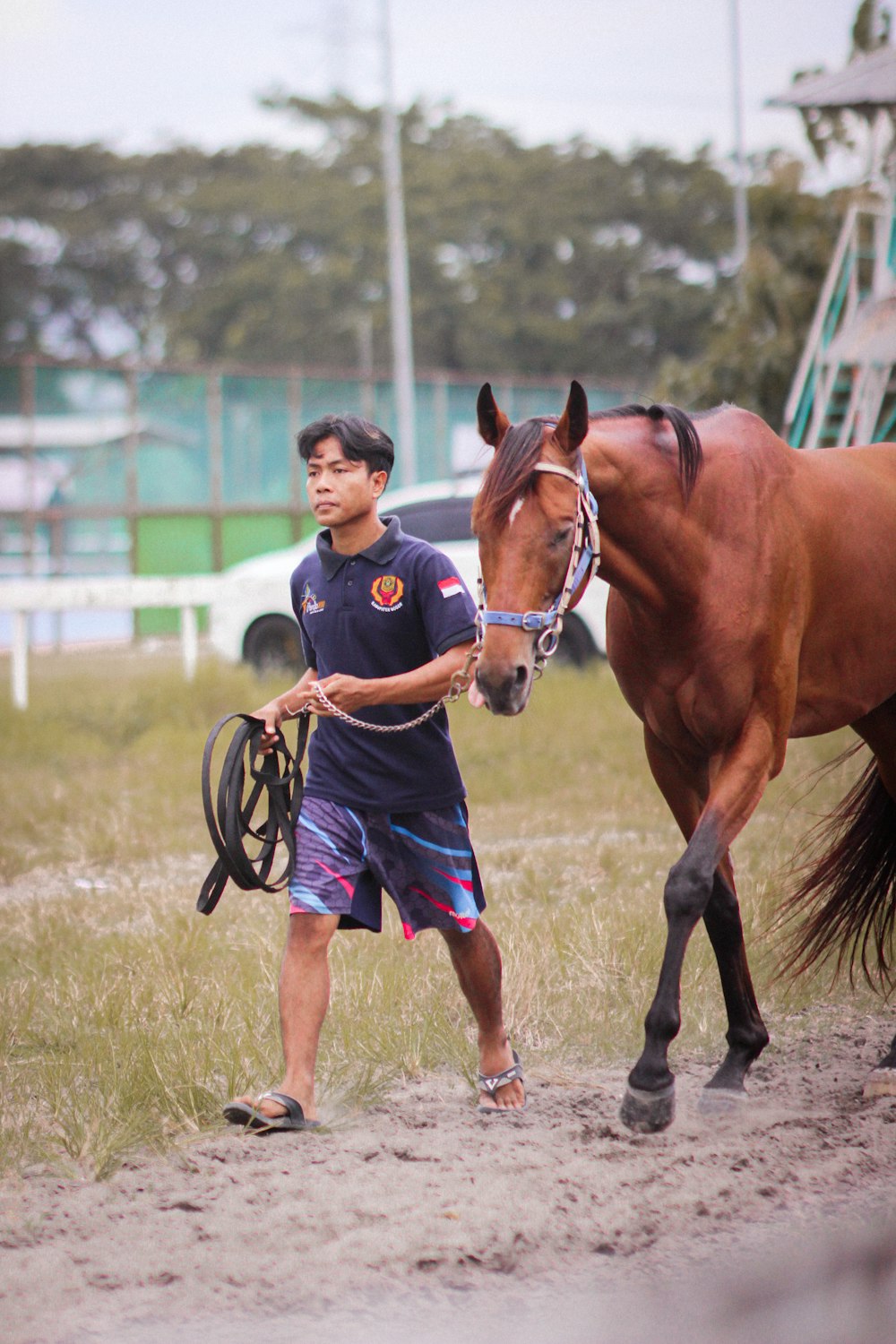 a man walking a horse on a dirt road