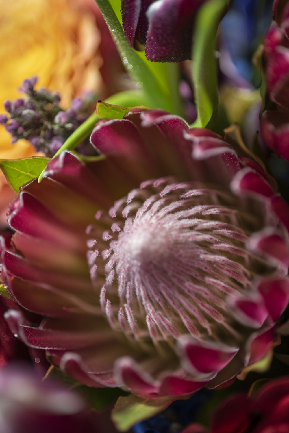 a close up of a bunch of flowers