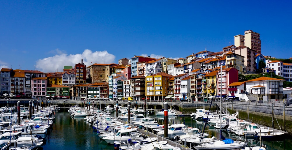 a harbor filled with lots of white boats