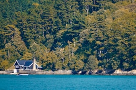 a house on the shore of a lake surrounded by trees