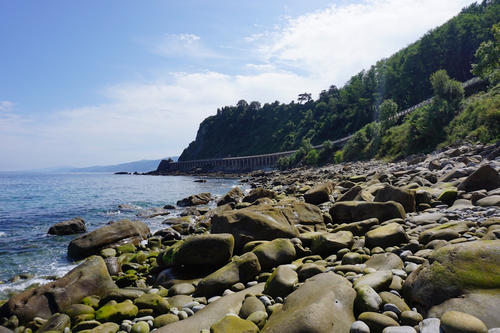 a rocky beach with green rocks and water