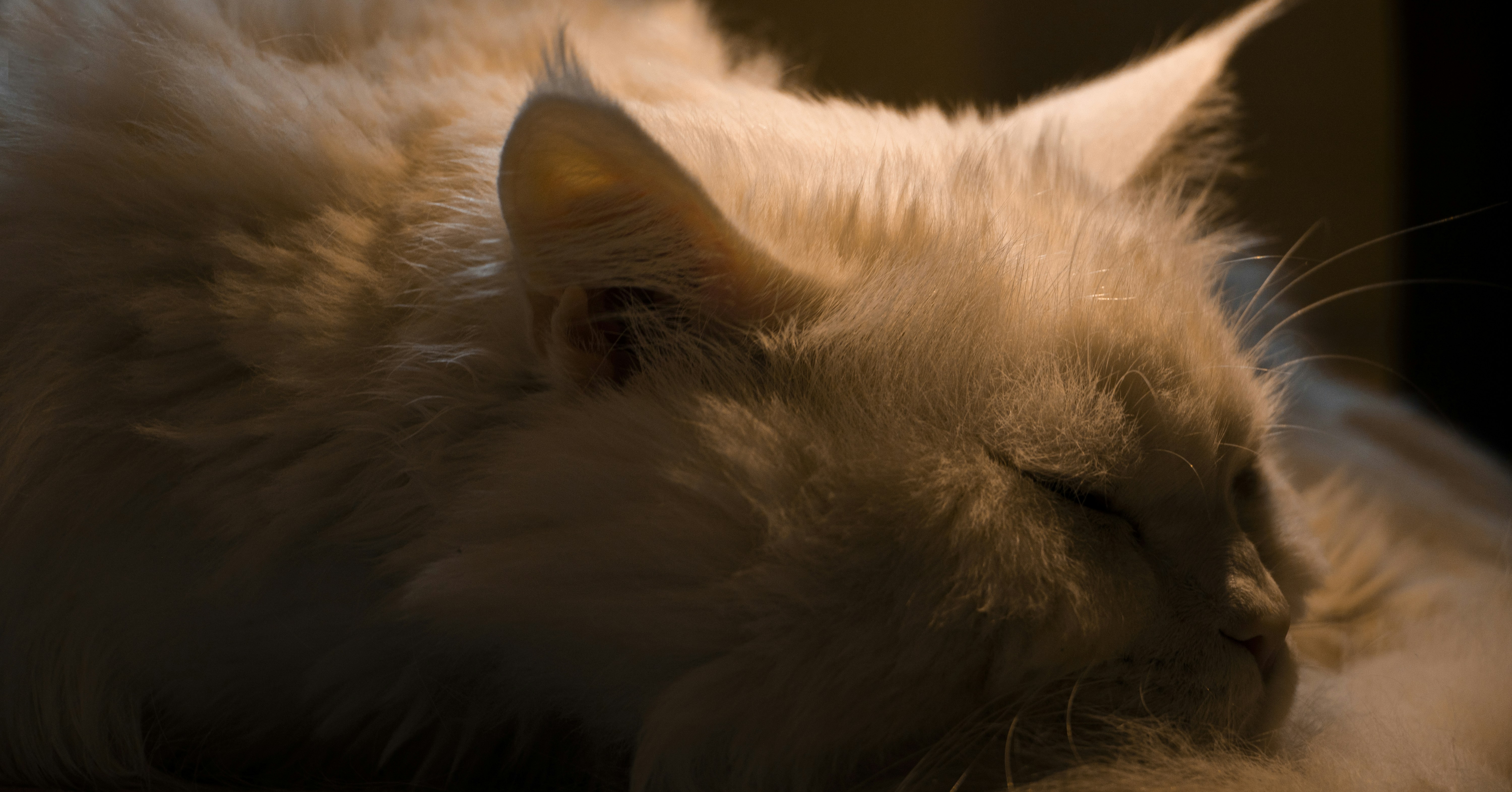 Photo by sedcreatives