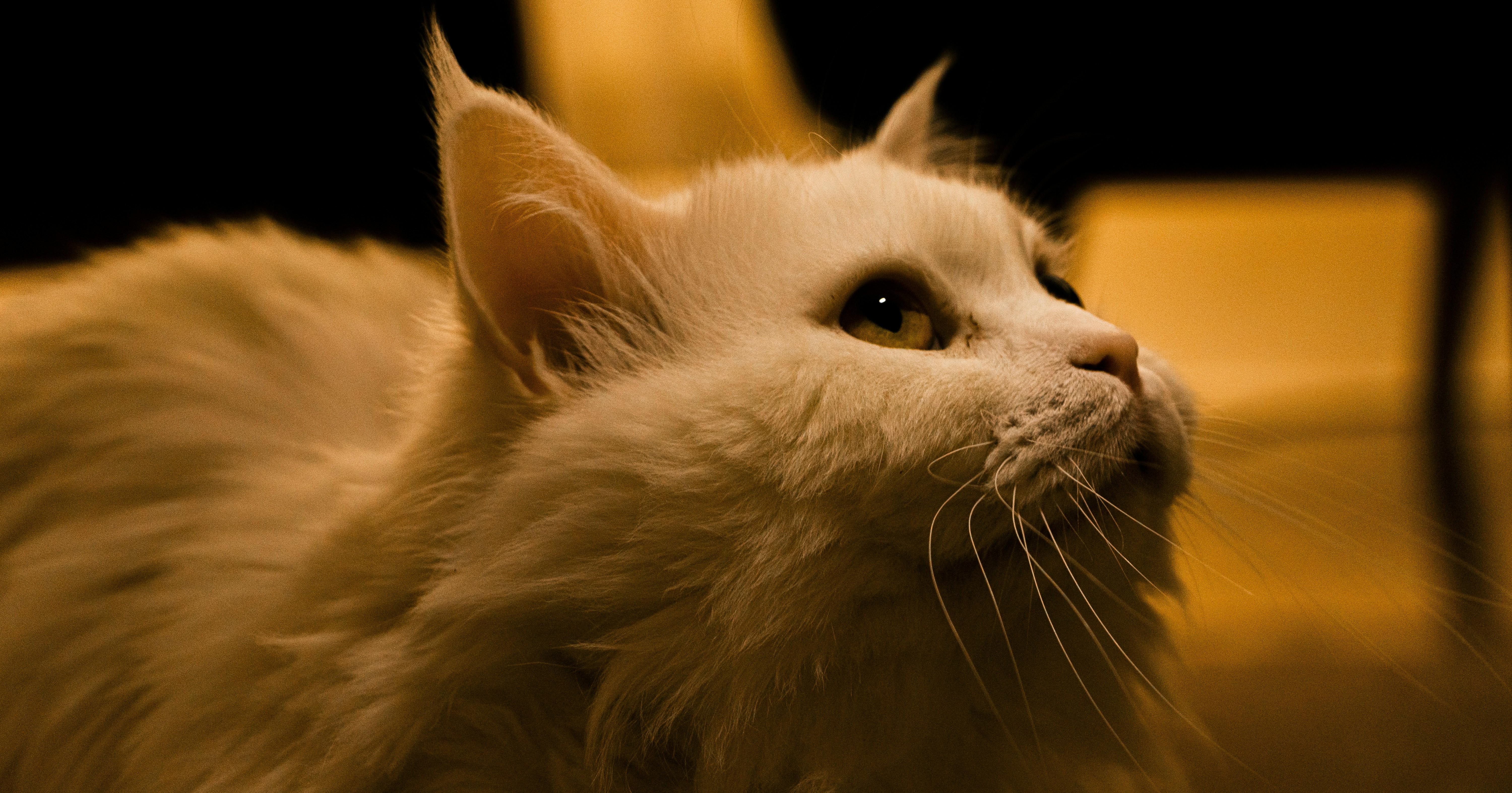 Photo by sedcreatives