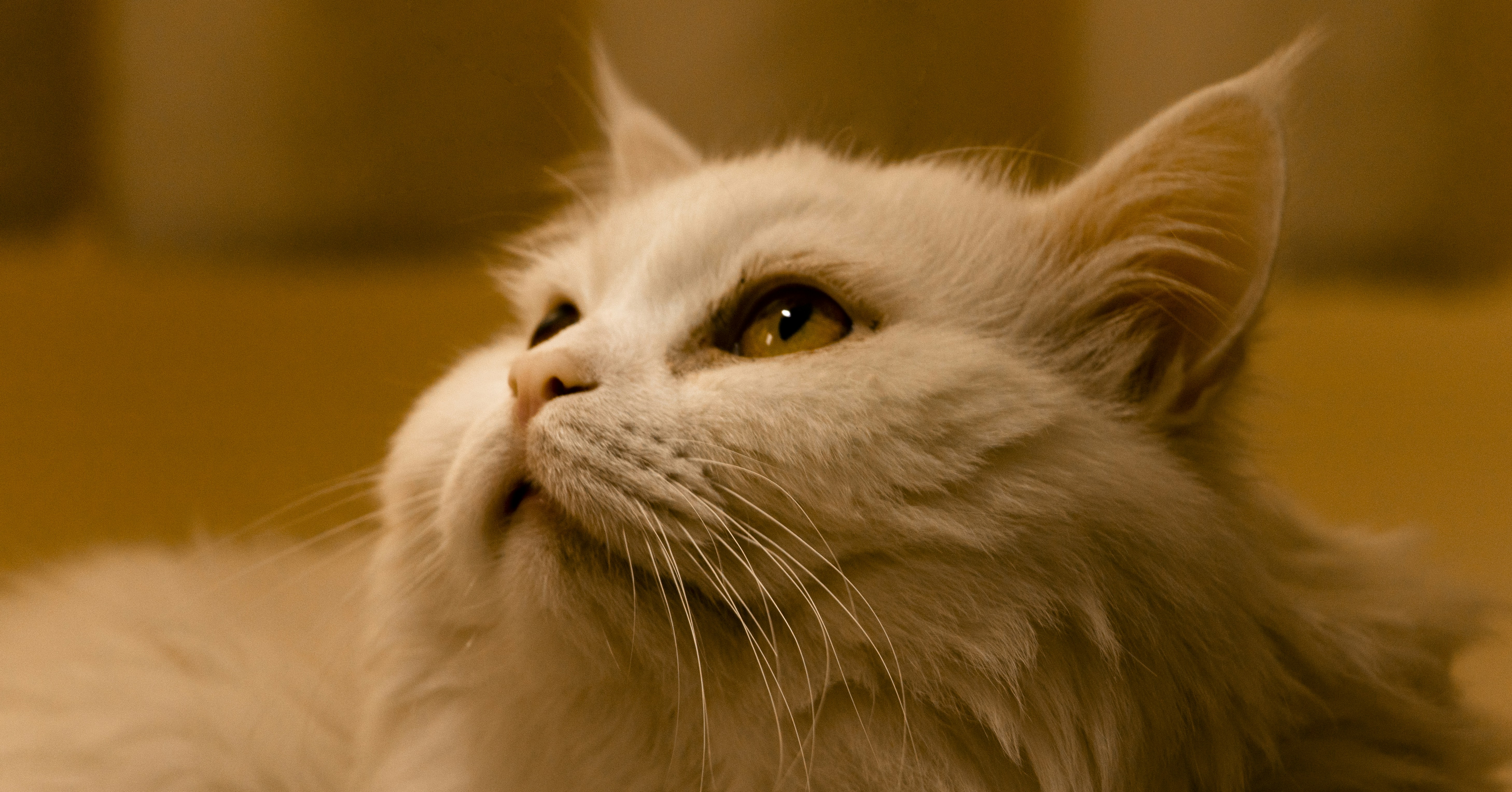 Photo by sedcreatives