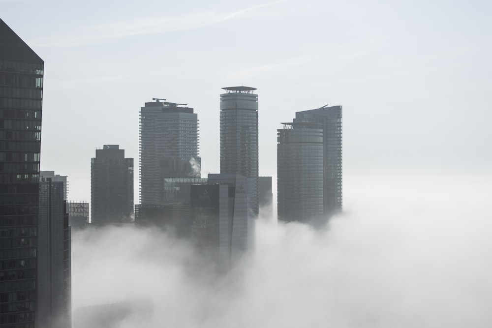 a foggy city skyline with skyscrapers in the distance