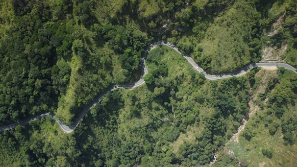 an aerial view of a winding road in the middle of a forest