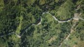 an aerial view of a winding road in the middle of a forest