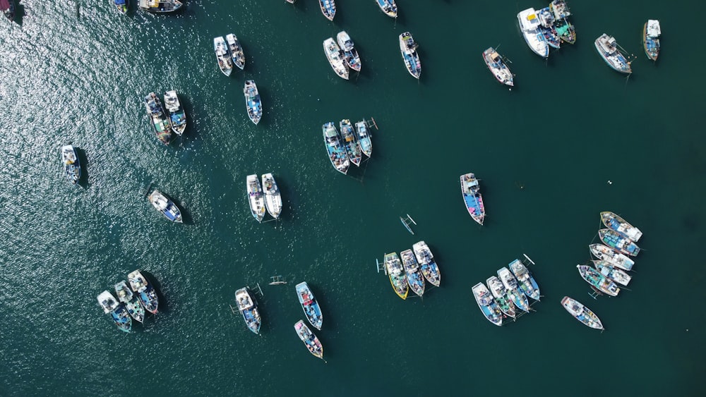 a large group of boats floating in a body of water