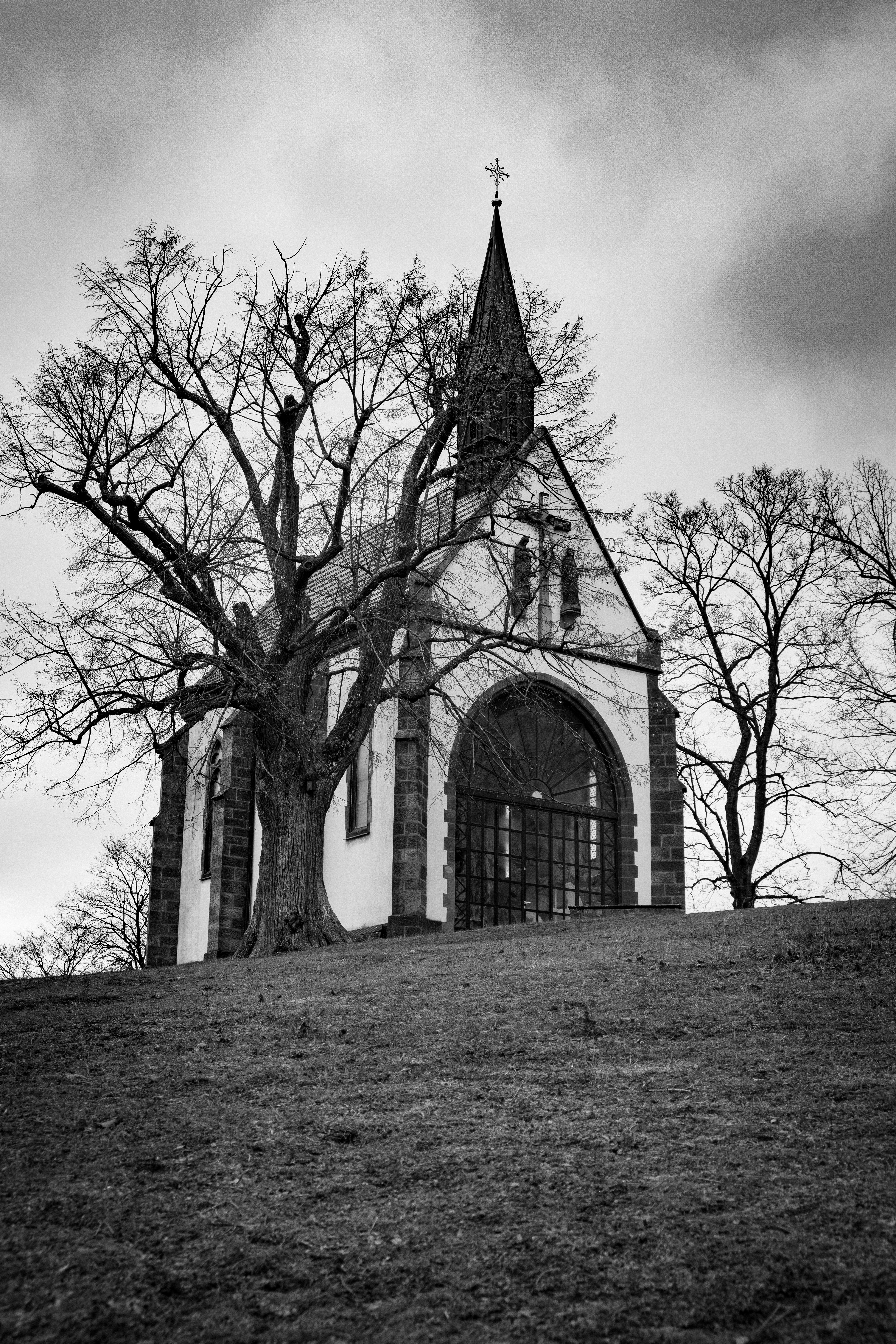 Photo by joshuakettle