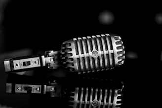 a black and white photo of a microphone