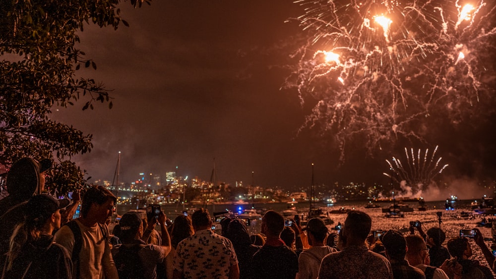 a crowd of people watching a fireworks display