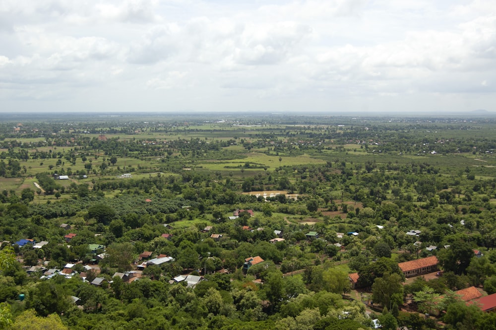 an aerial view of a small town surrounded by trees