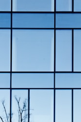 a tree is seen through a window with a blue sky in the background