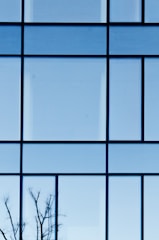 a tree is seen through a window with a blue sky in the background
