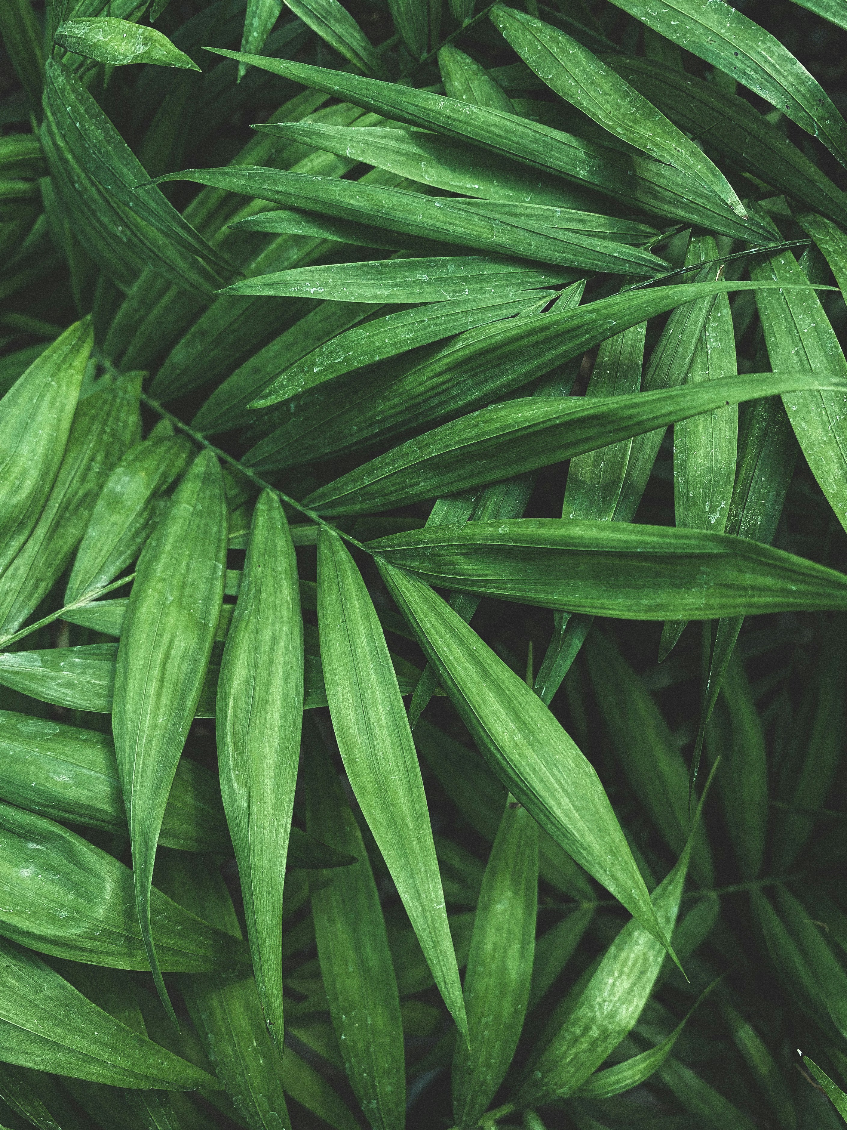 Photo by salarkaazemi