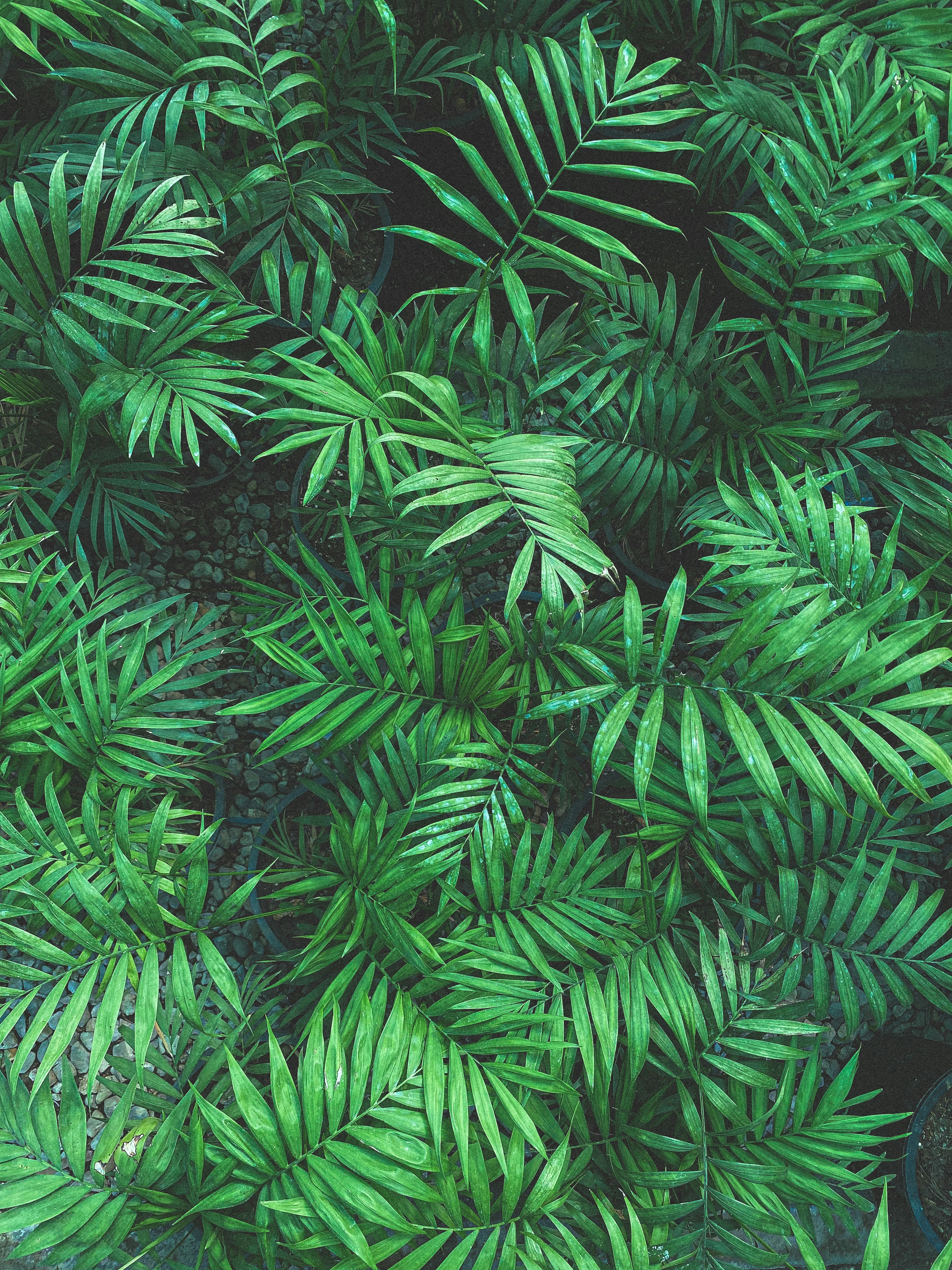 Photo by salarkaazemi