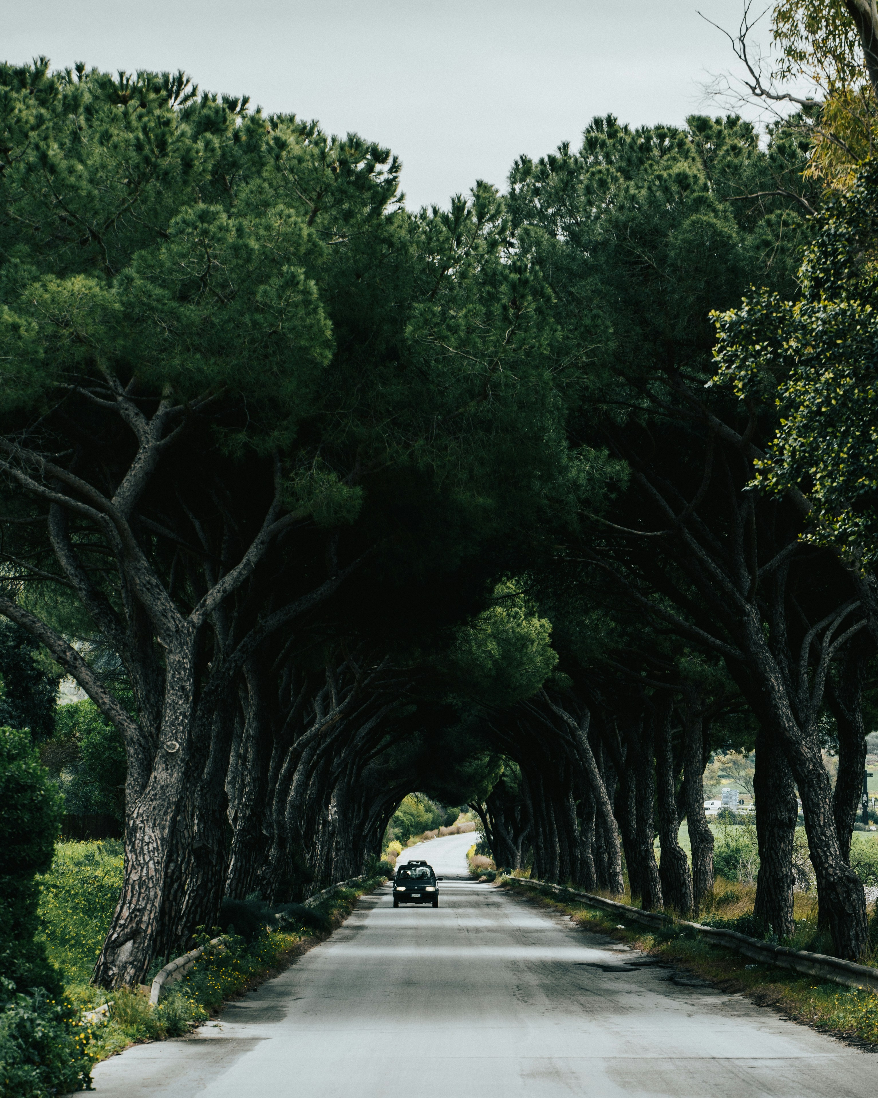 Photo by tamas_tuzeskatai