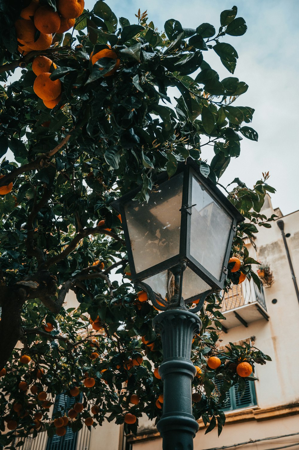 a lamp post with an orange tree in front of a building