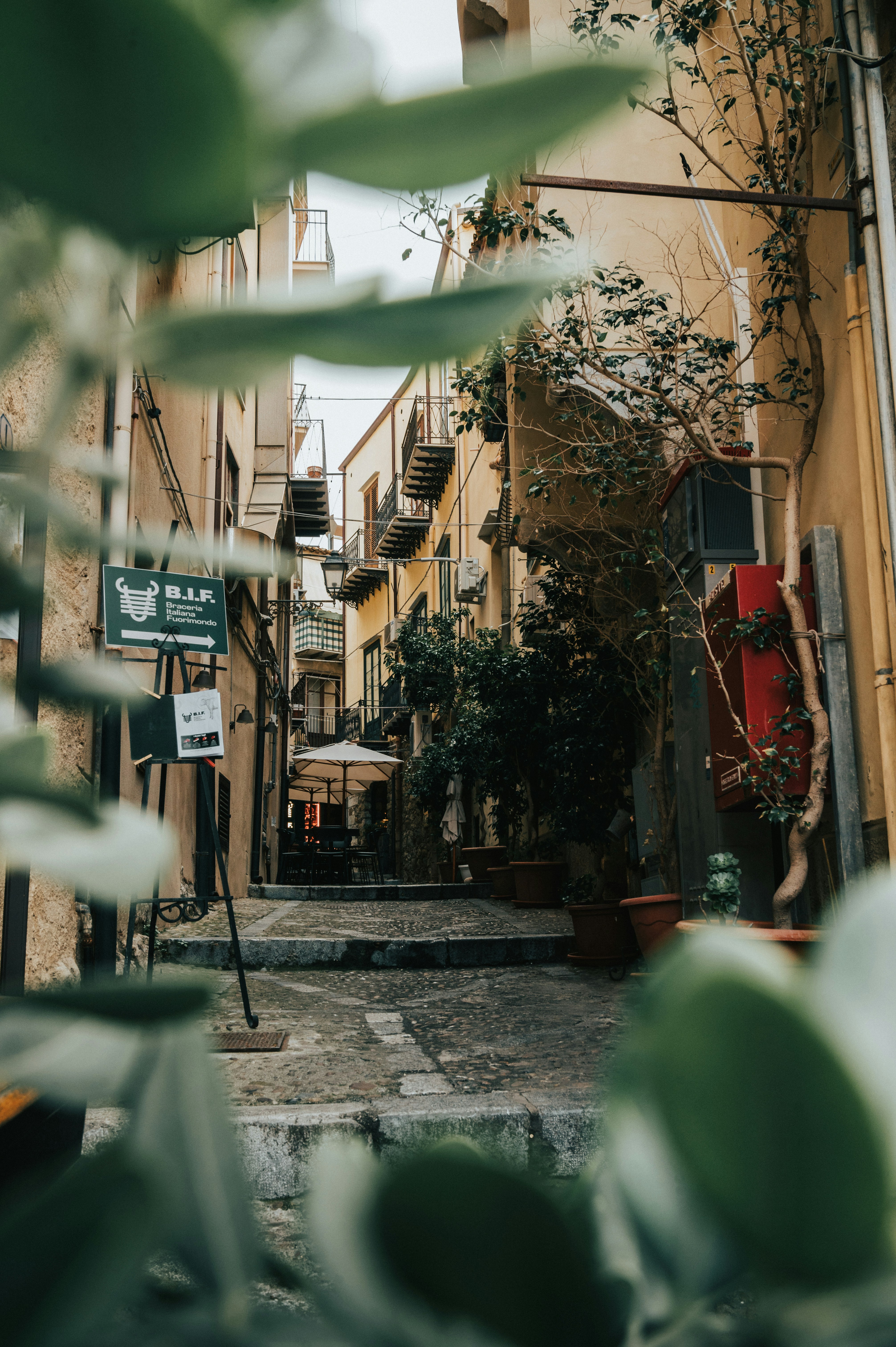 Photo by tamas_tuzeskatai