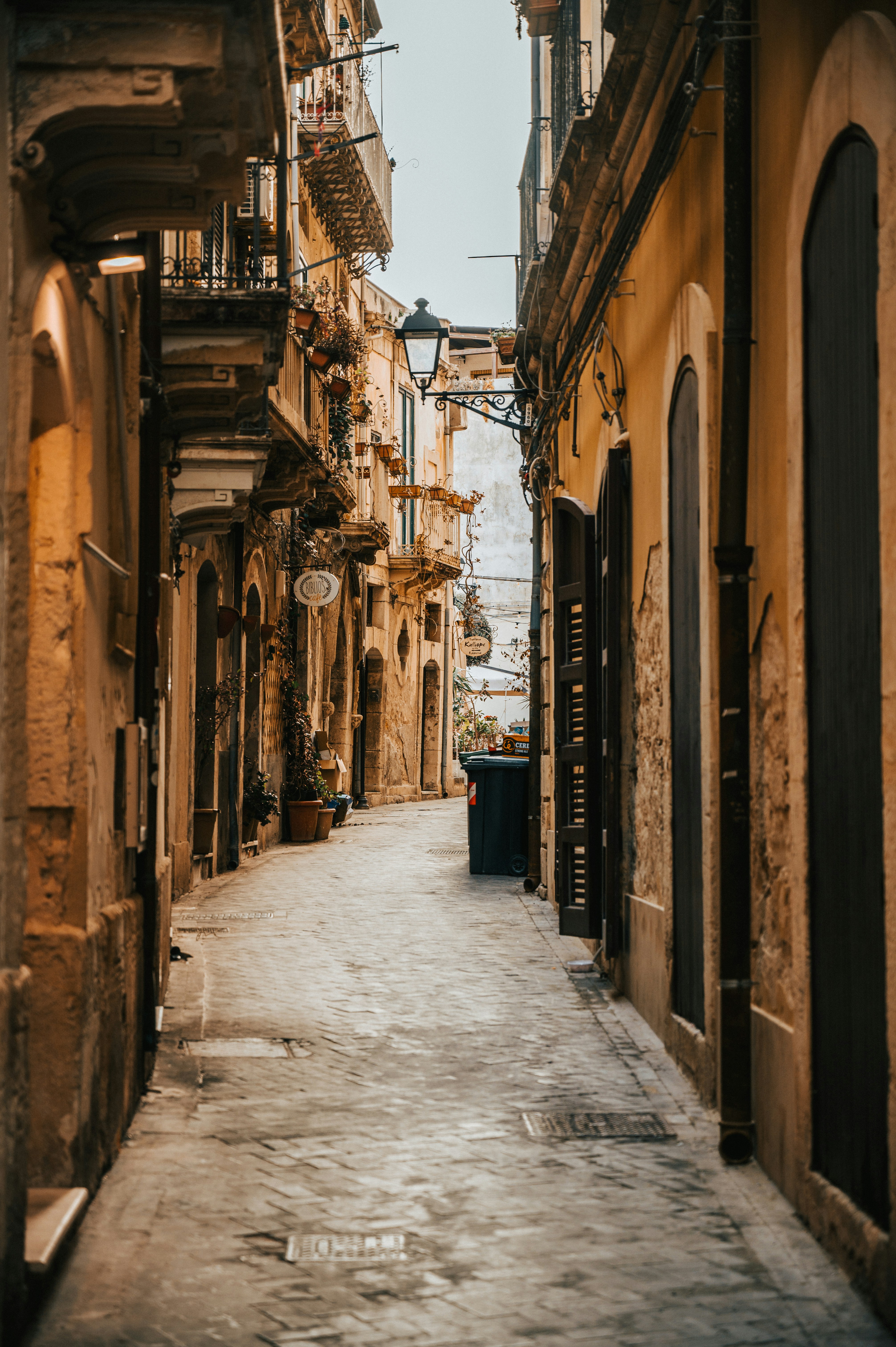 Photo by tamas_tuzeskatai