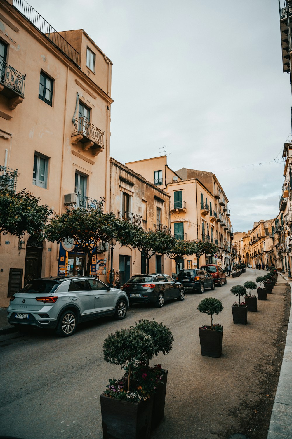 a street lined with potted trees and parked cars