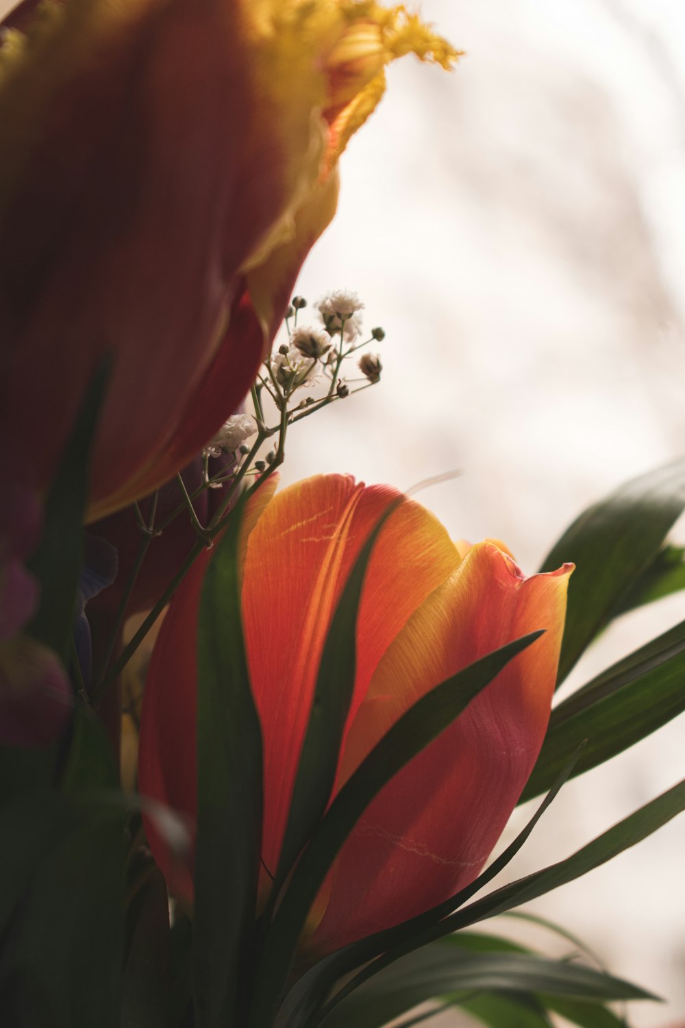 a close up of a vase with flowers in it