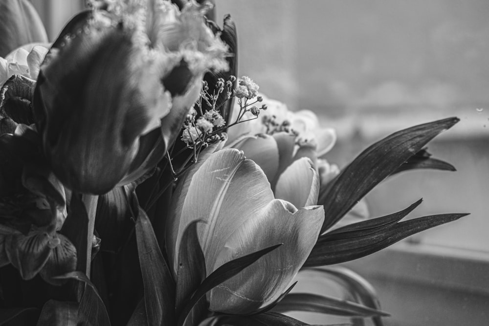 a black and white photo of flowers in a vase