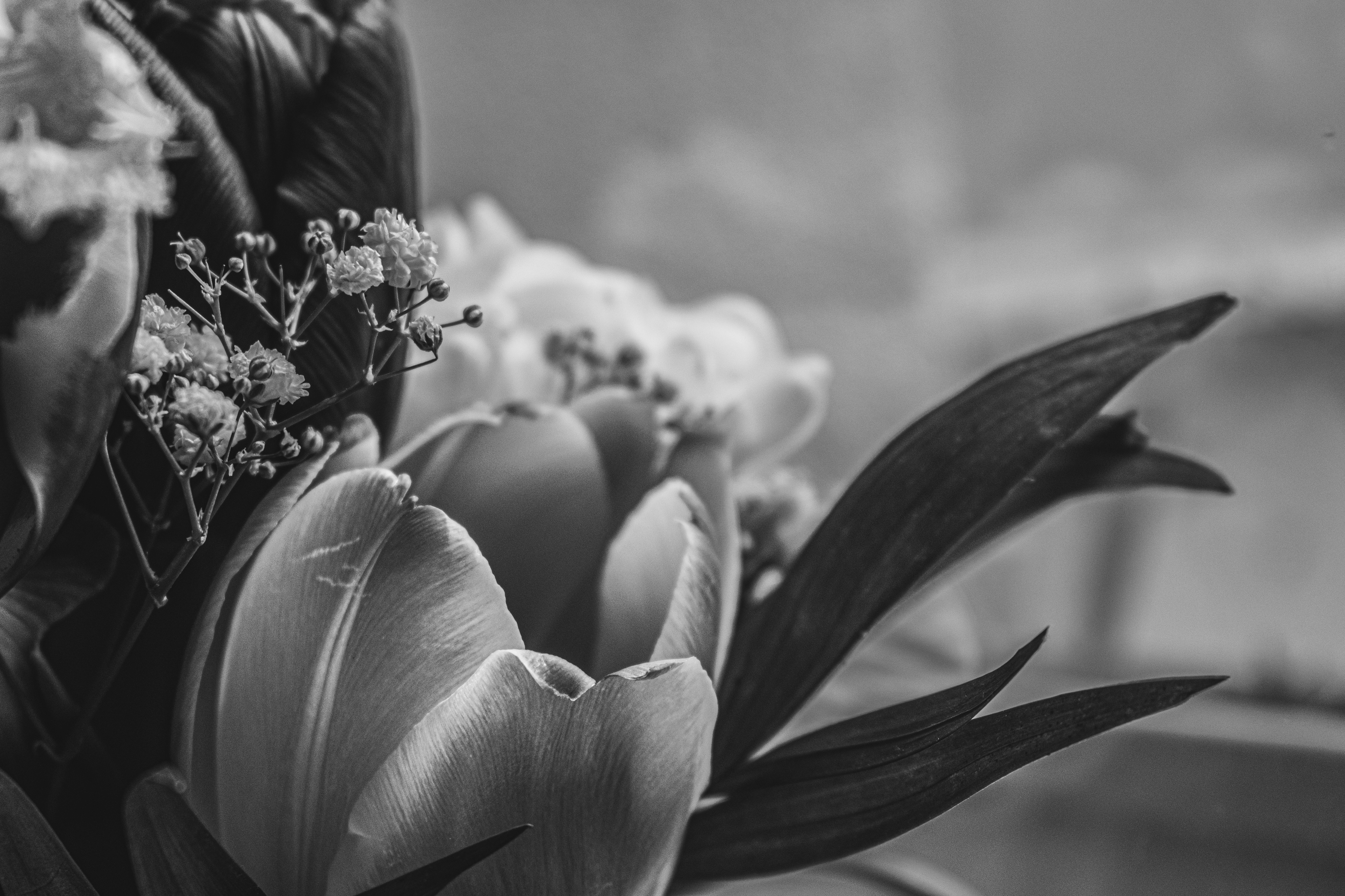 Photo by lorena_preda