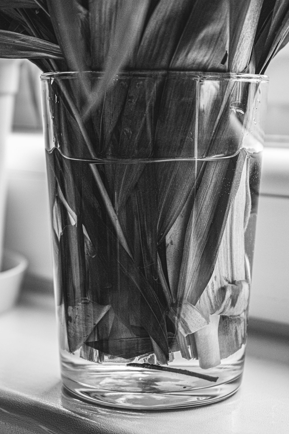 black and white photograph of flowers in a glass