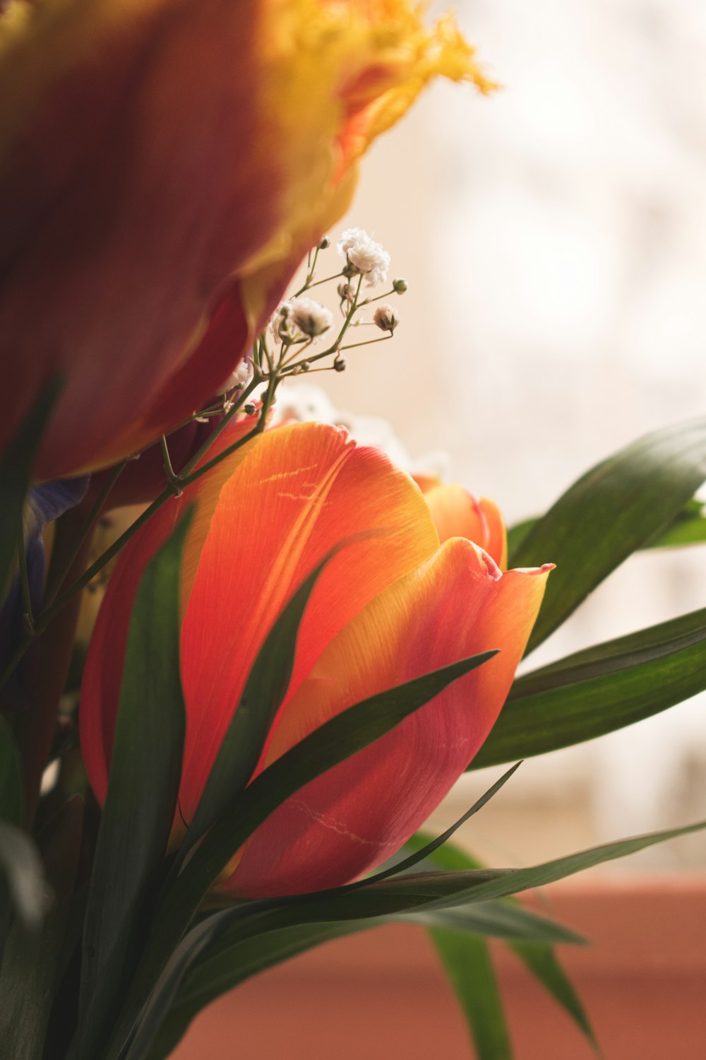 a close up of a vase with flowers in it