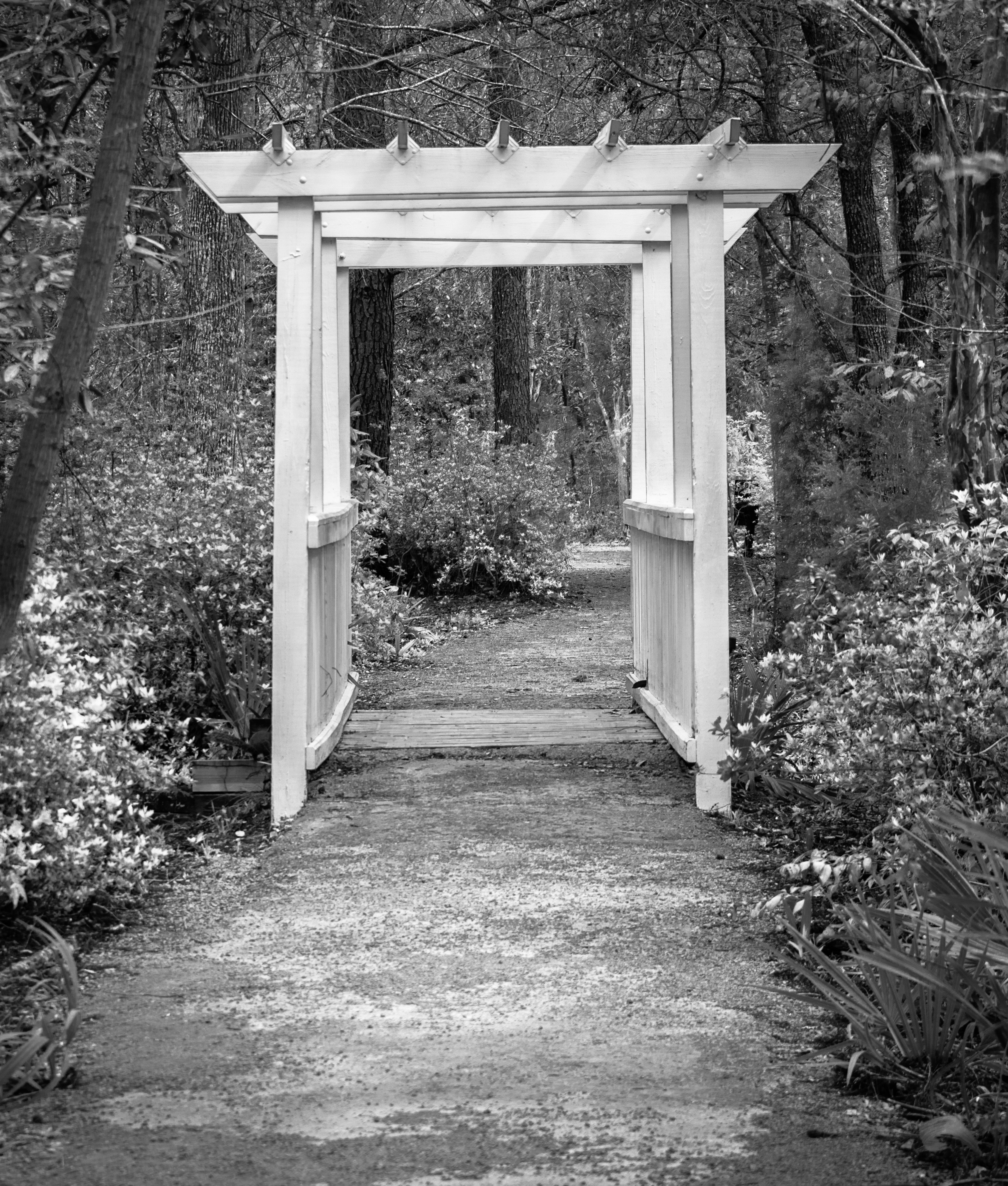 Cypress Gardens photo 2