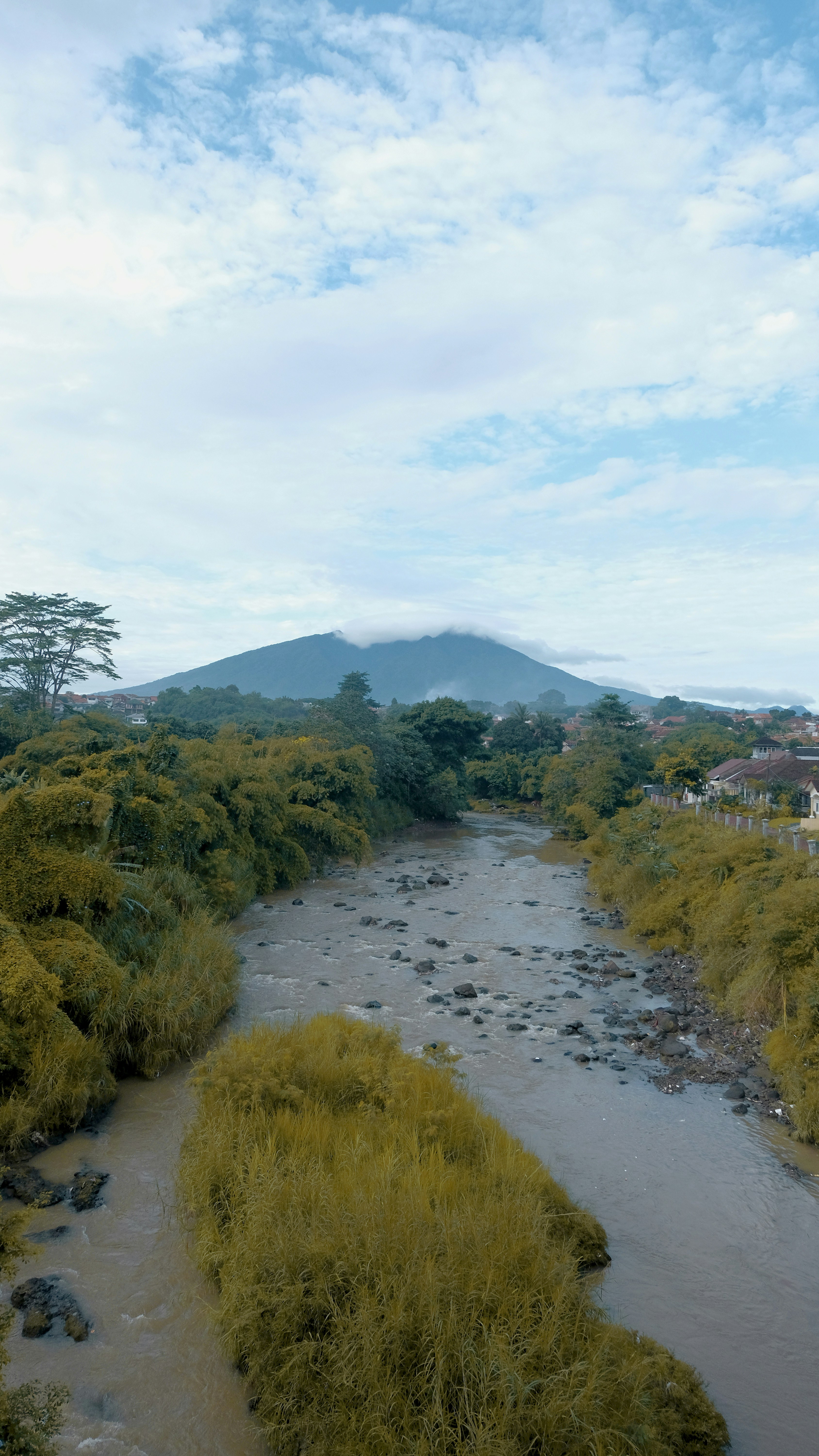 sungai yang mengalir melalui hutan hijau yang subur