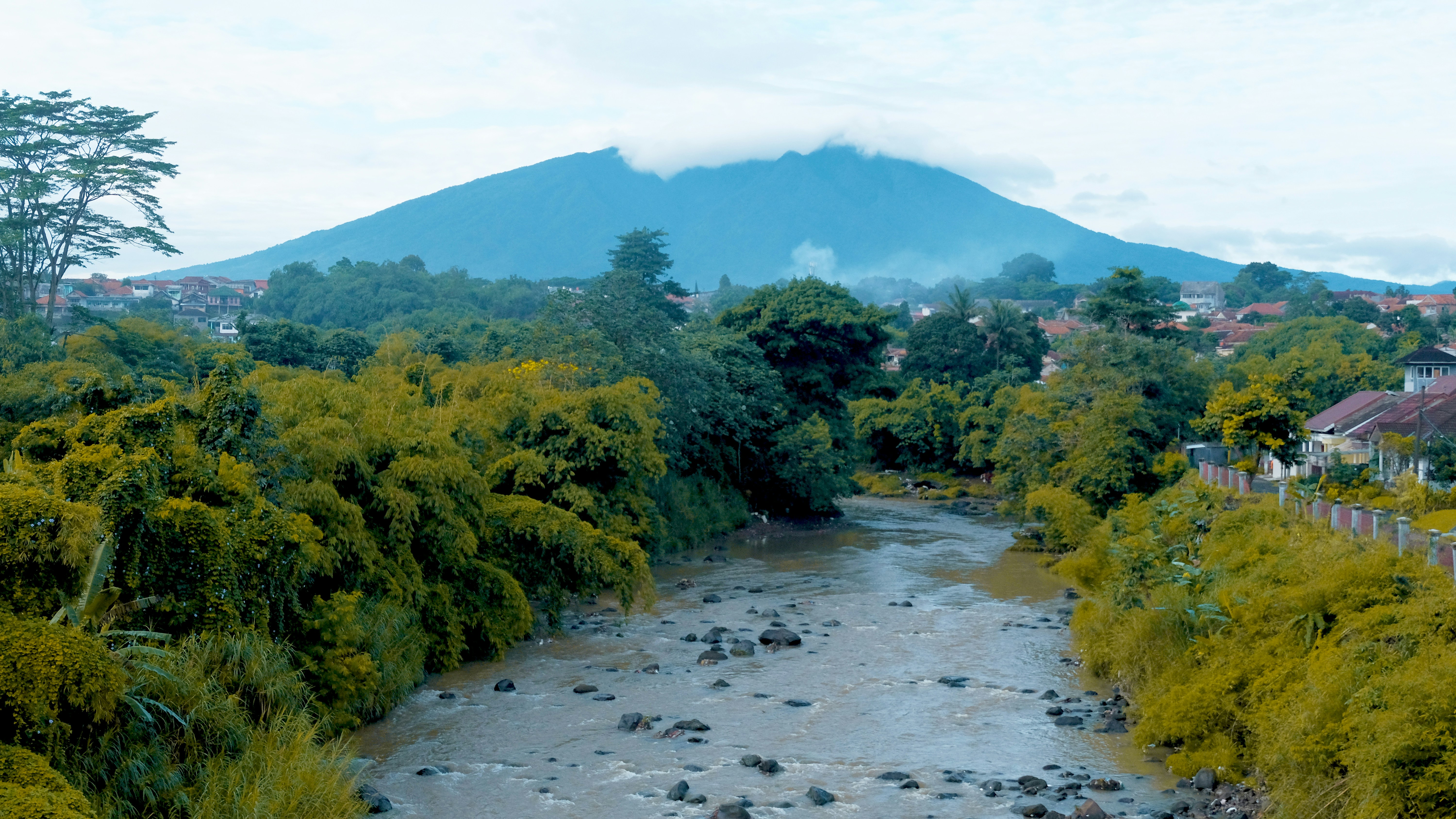 sungai yang mengalir melalui hutan hijau yang subur