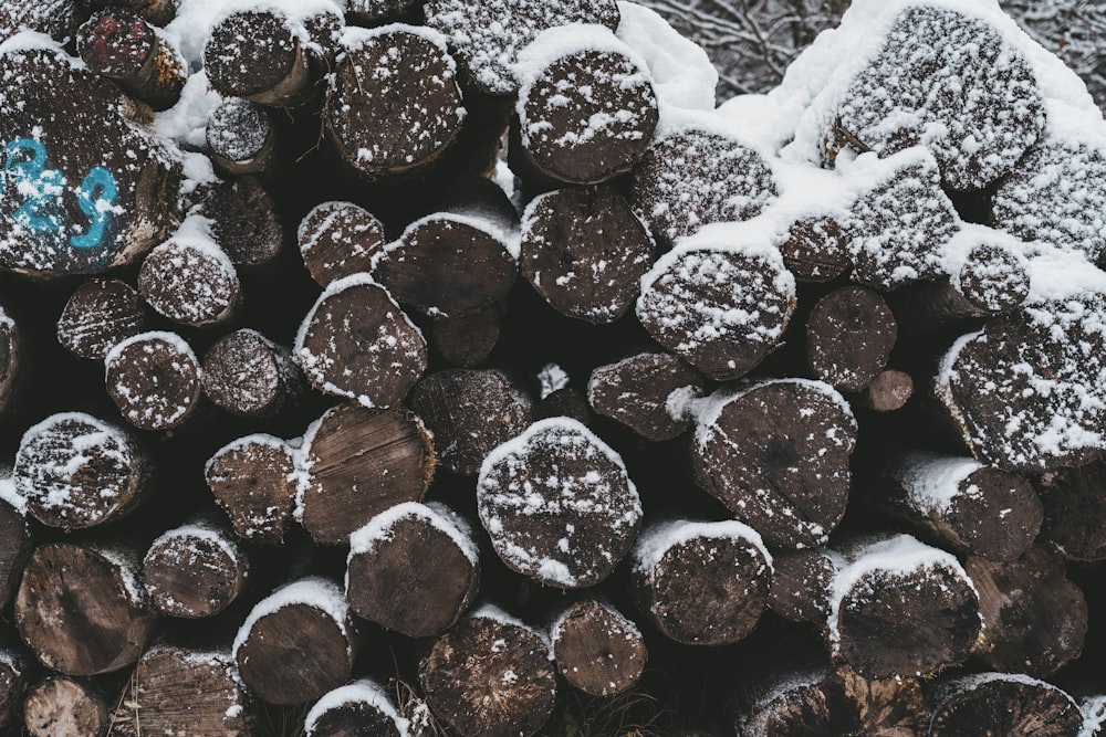 a pile of logs covered in powdered sugar