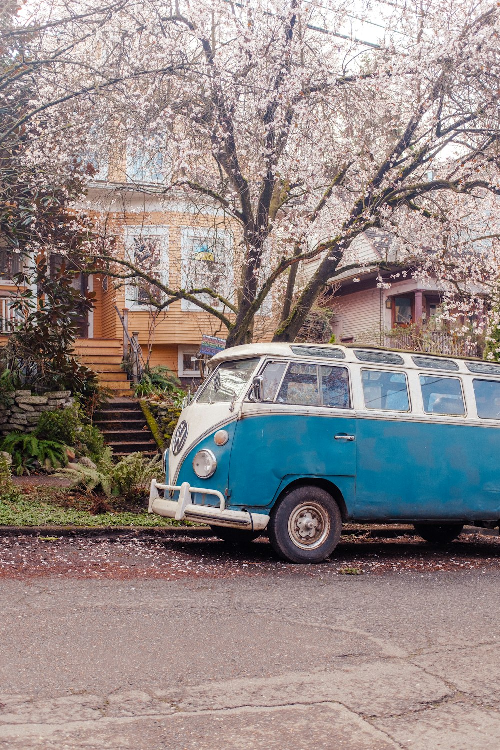 Ein blau-weißer Lieferwagen parkt vor einem Baum