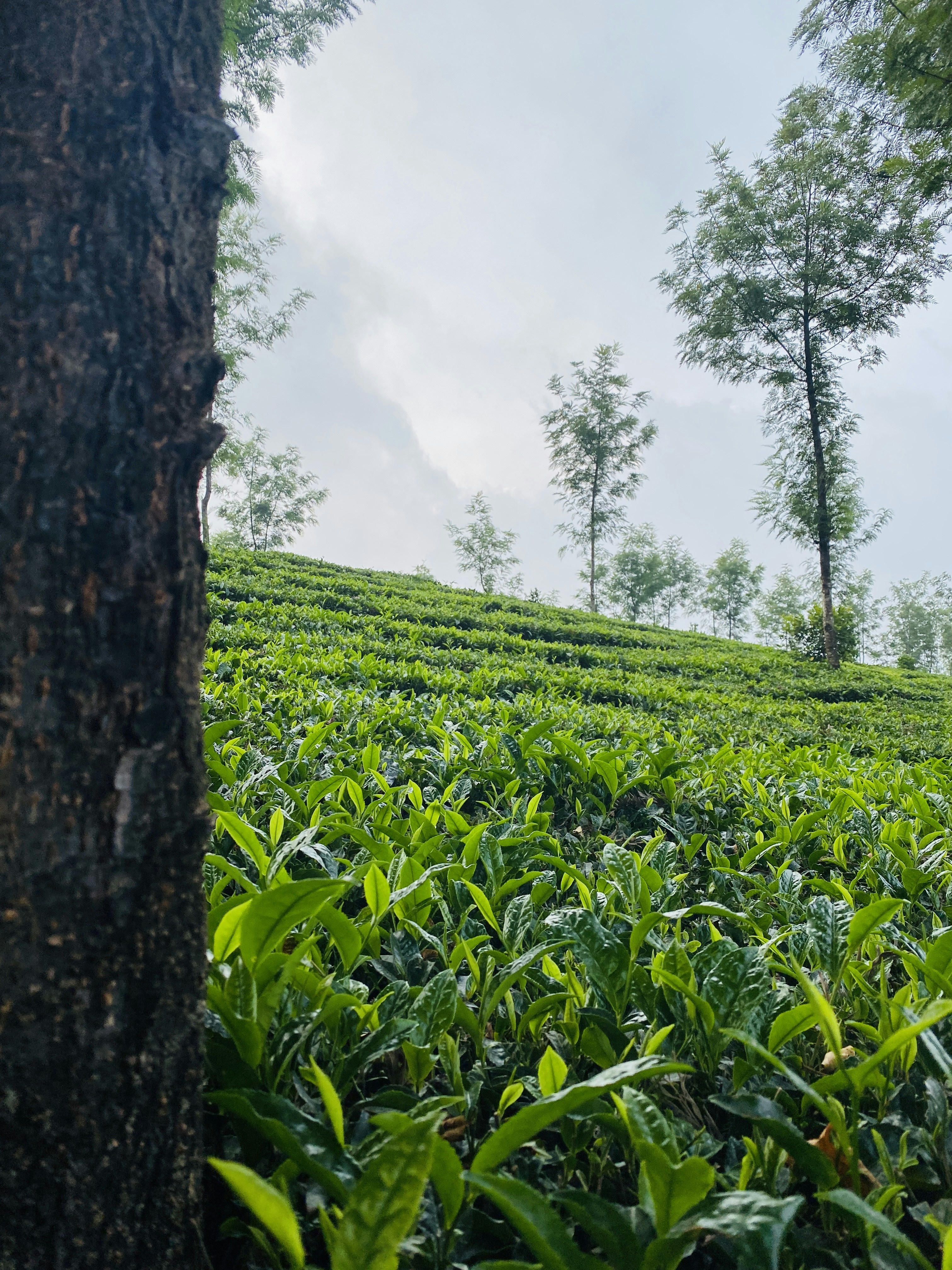 Photo by musing_photography