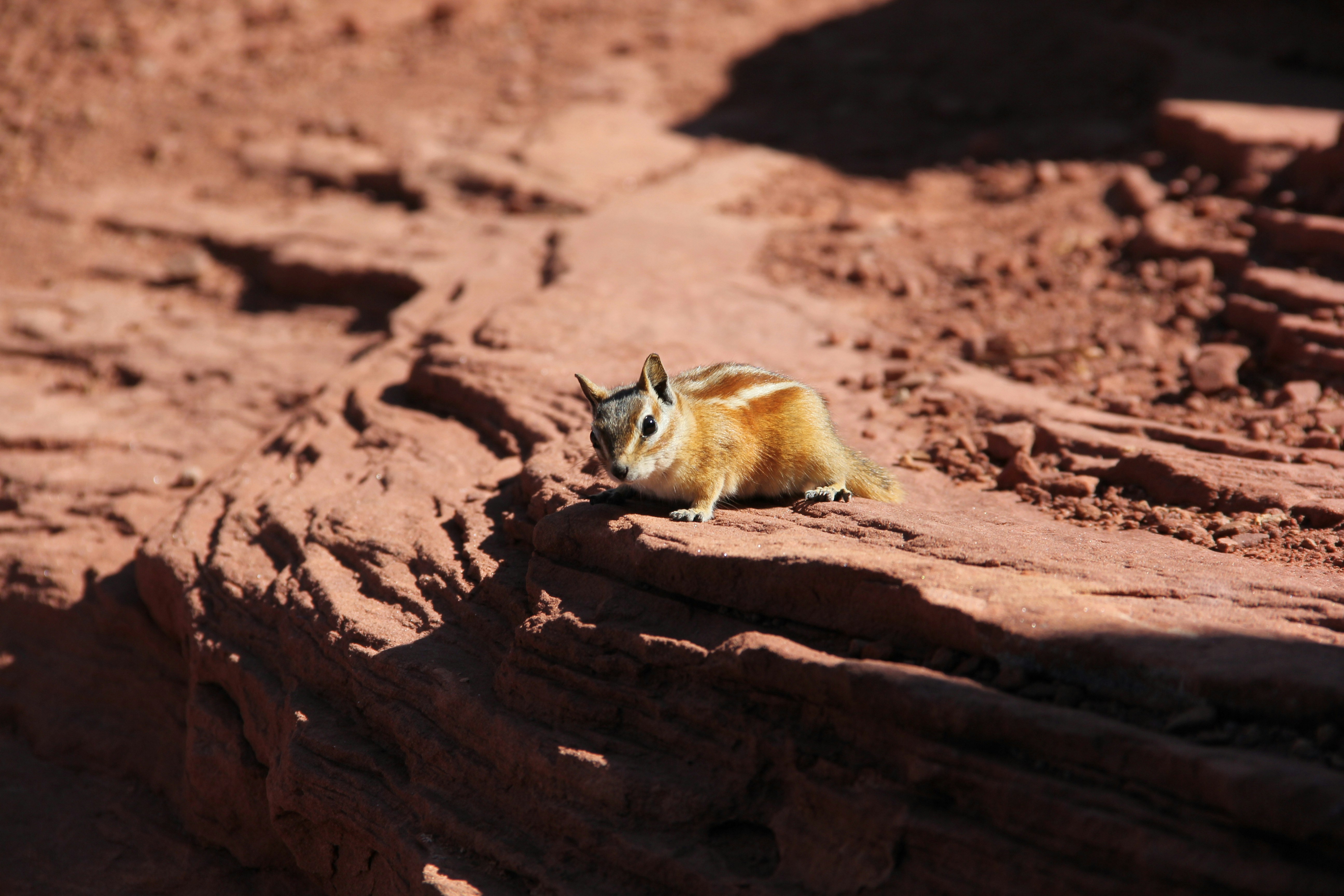 Photo by ezekiel_see