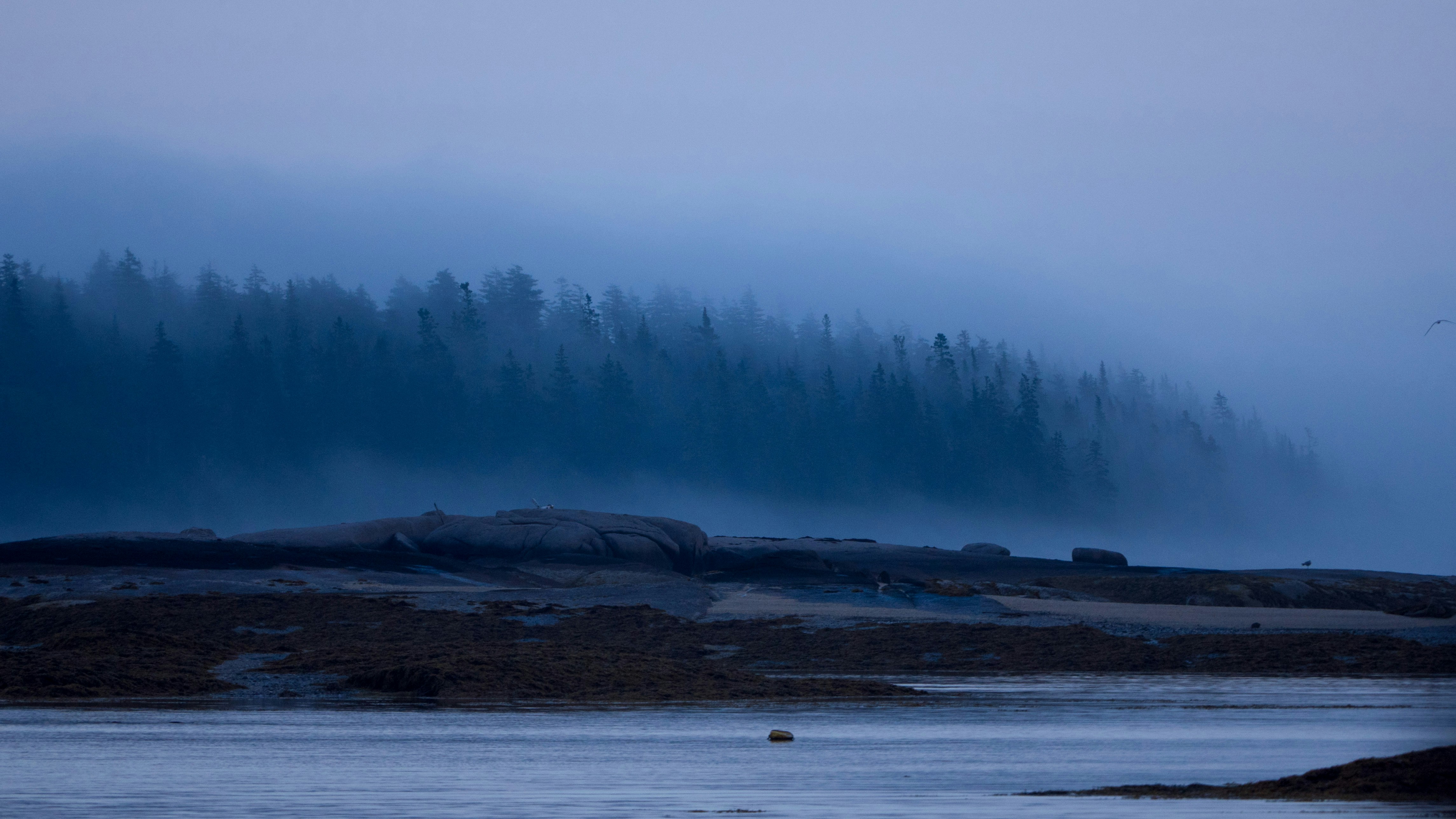 Photo by leonbredella