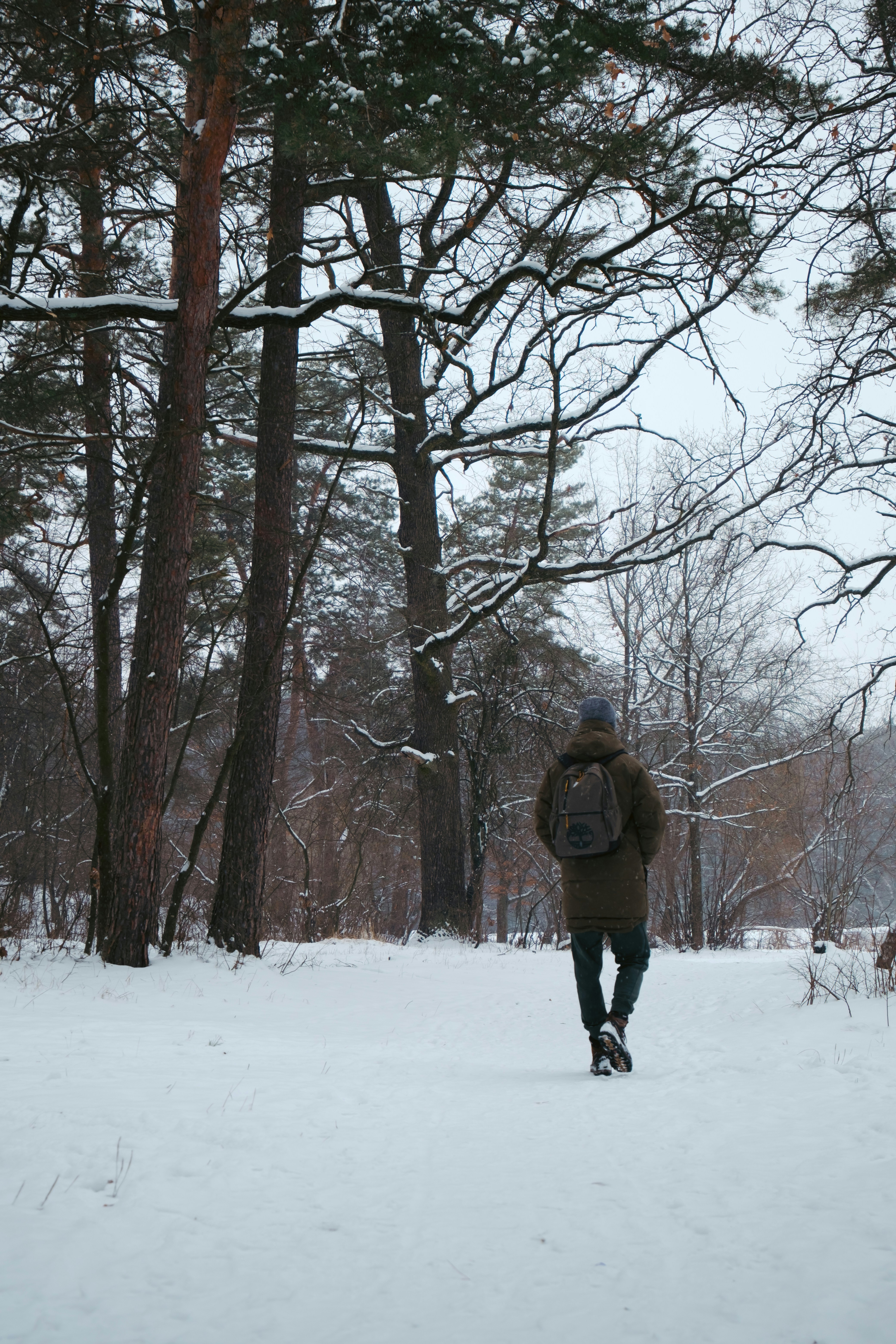 Photo by olegbilykpro