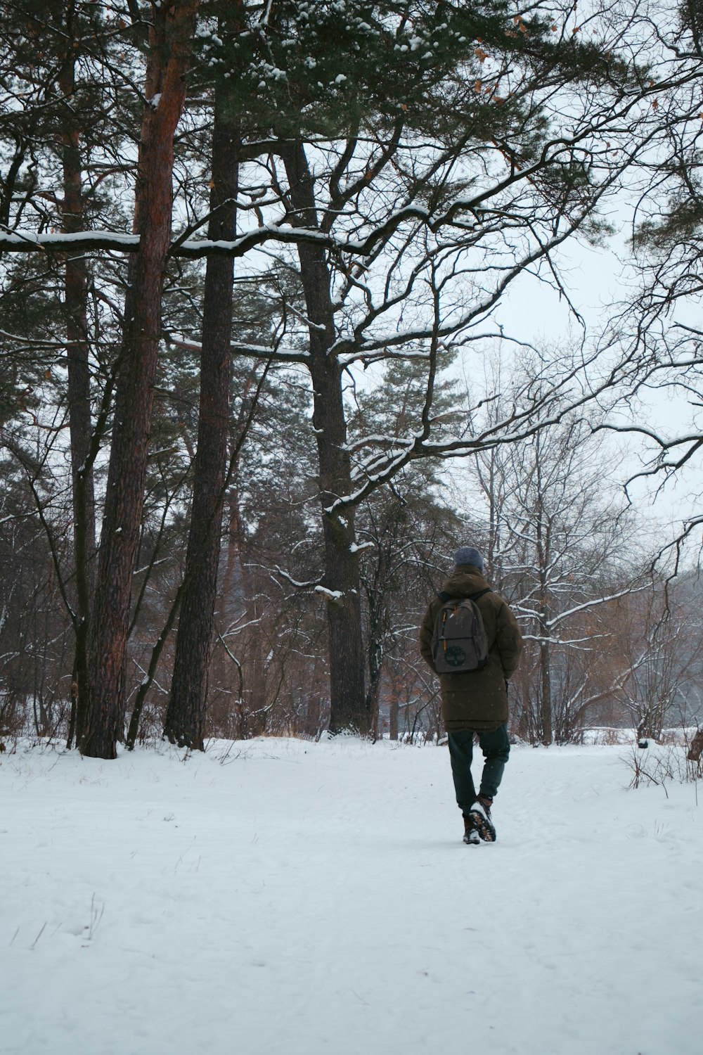 Un homme marchant dans une forêt enneigée