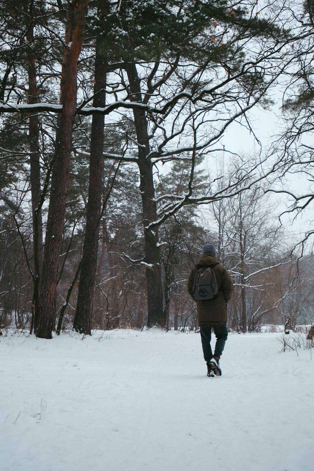 雪に覆われた森の中を歩く男