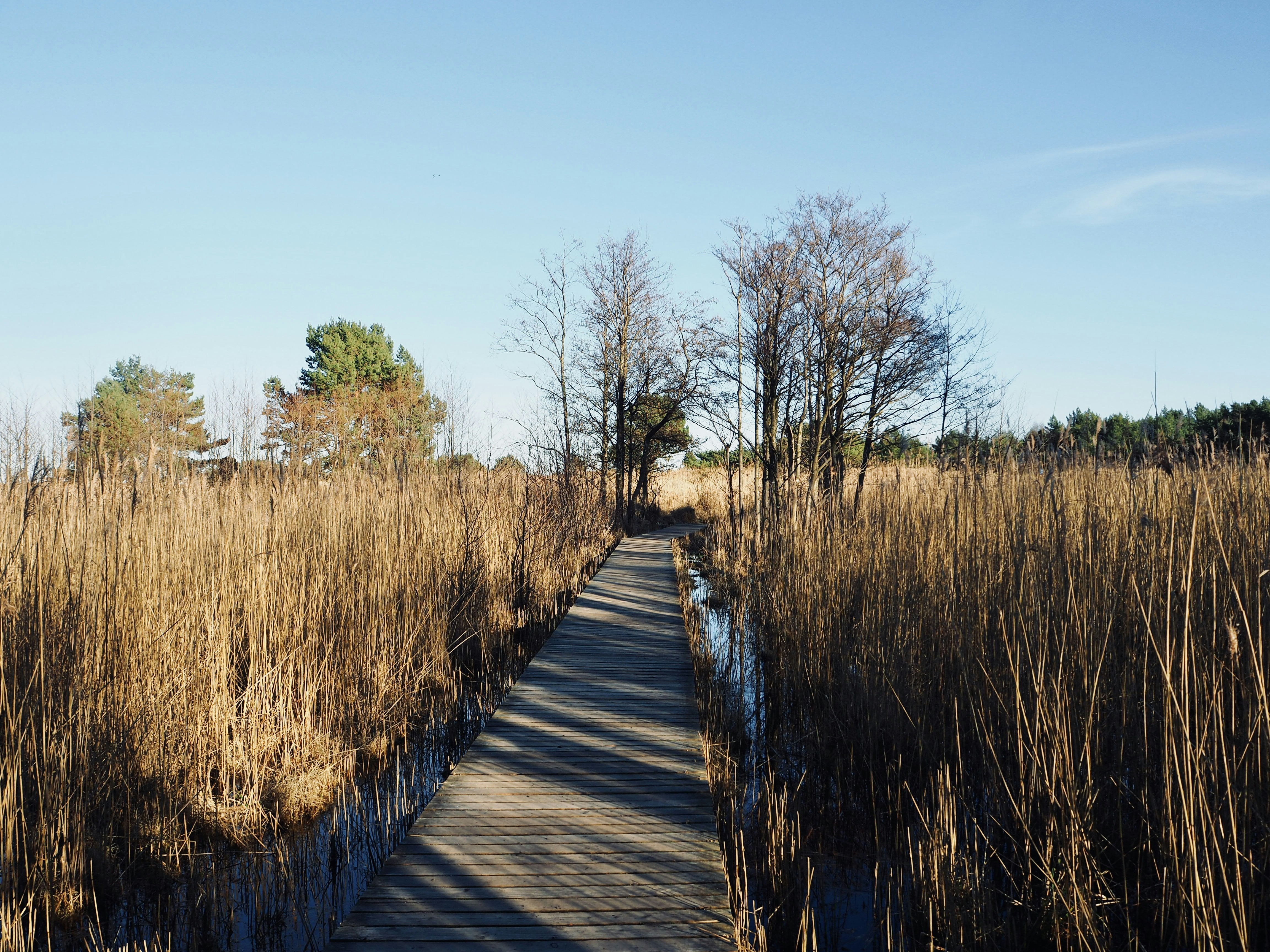 Photo by caroline_2603