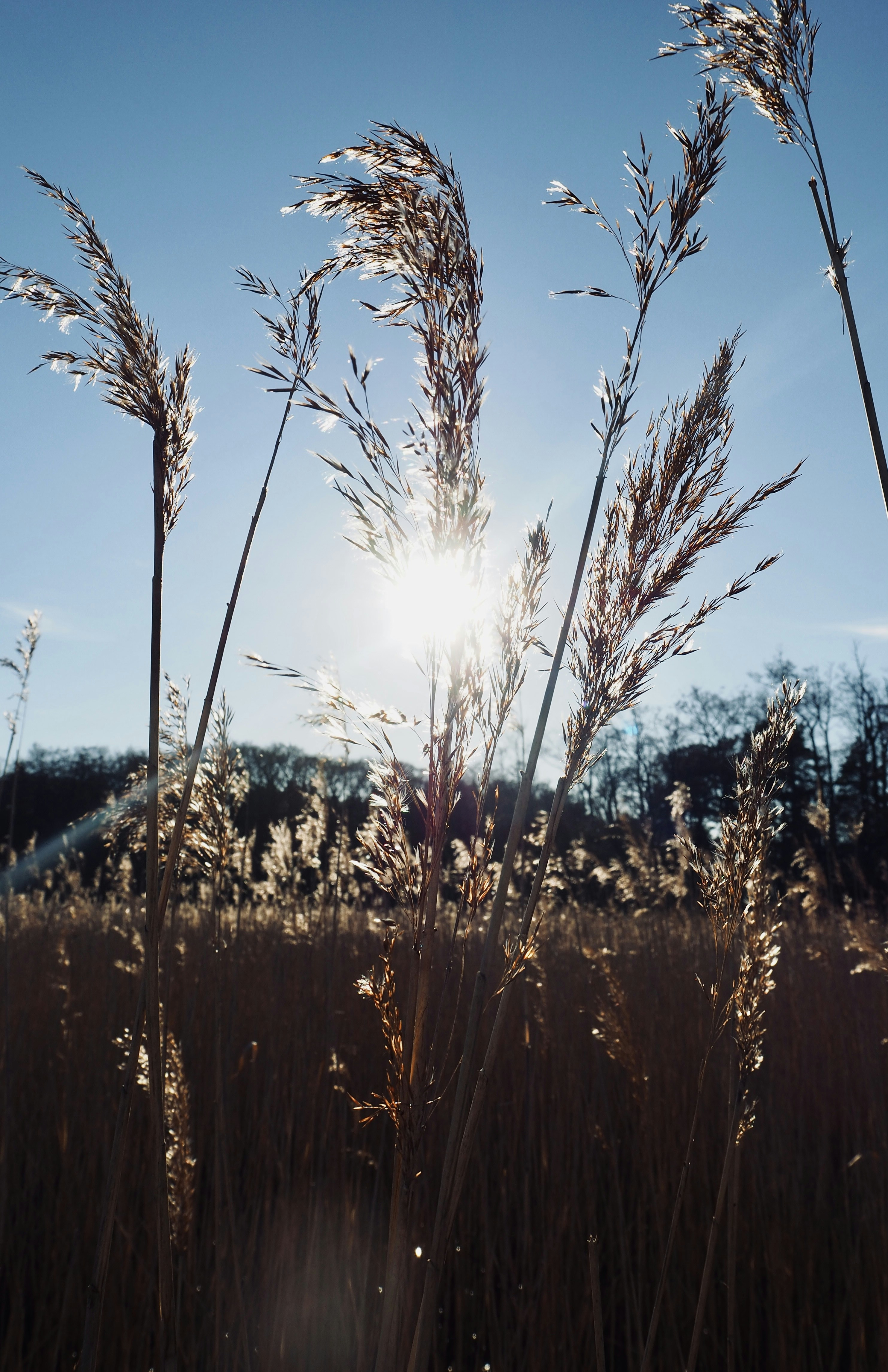 Photo by caroline_2603