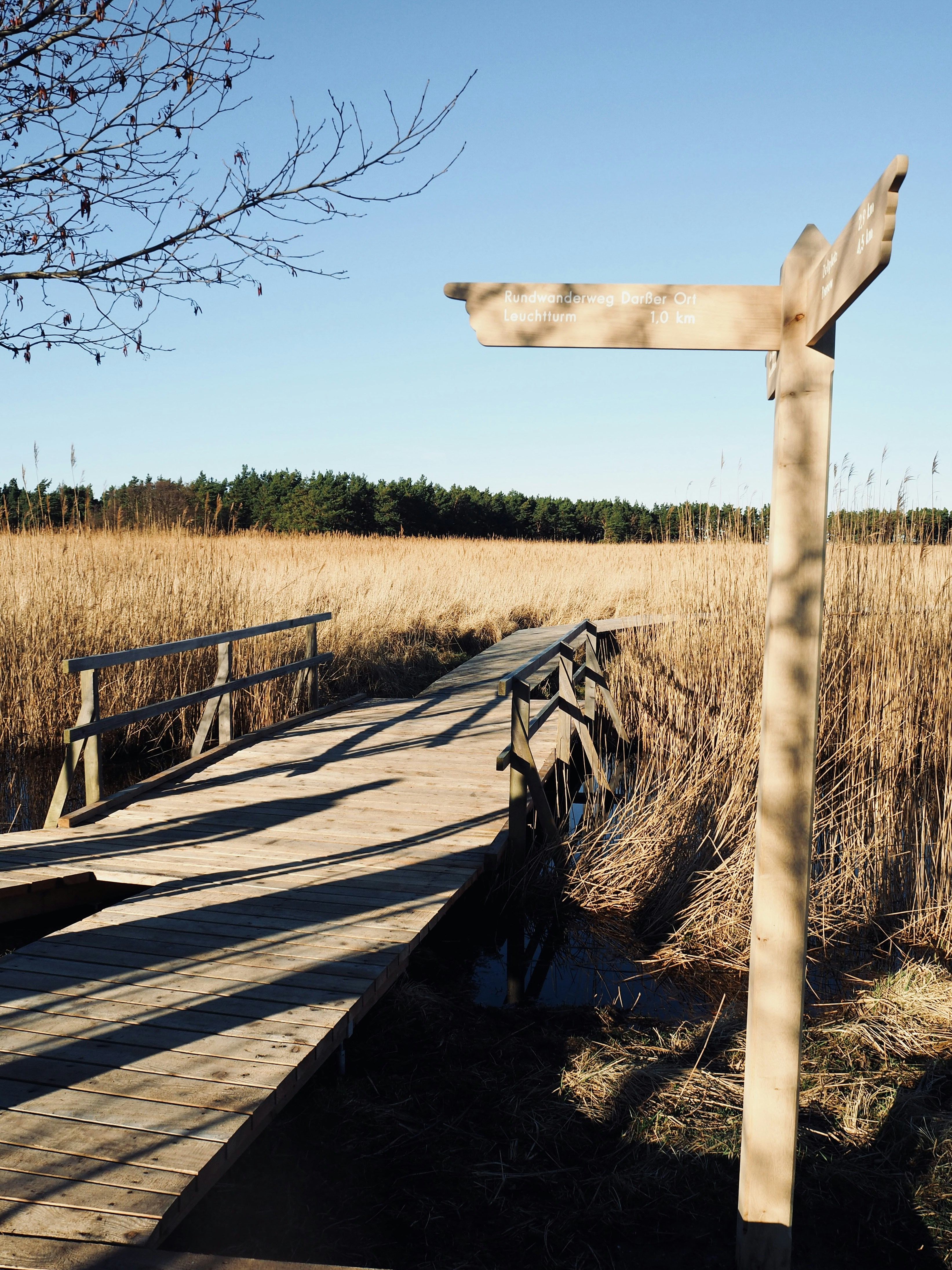 Photo by caroline_2603