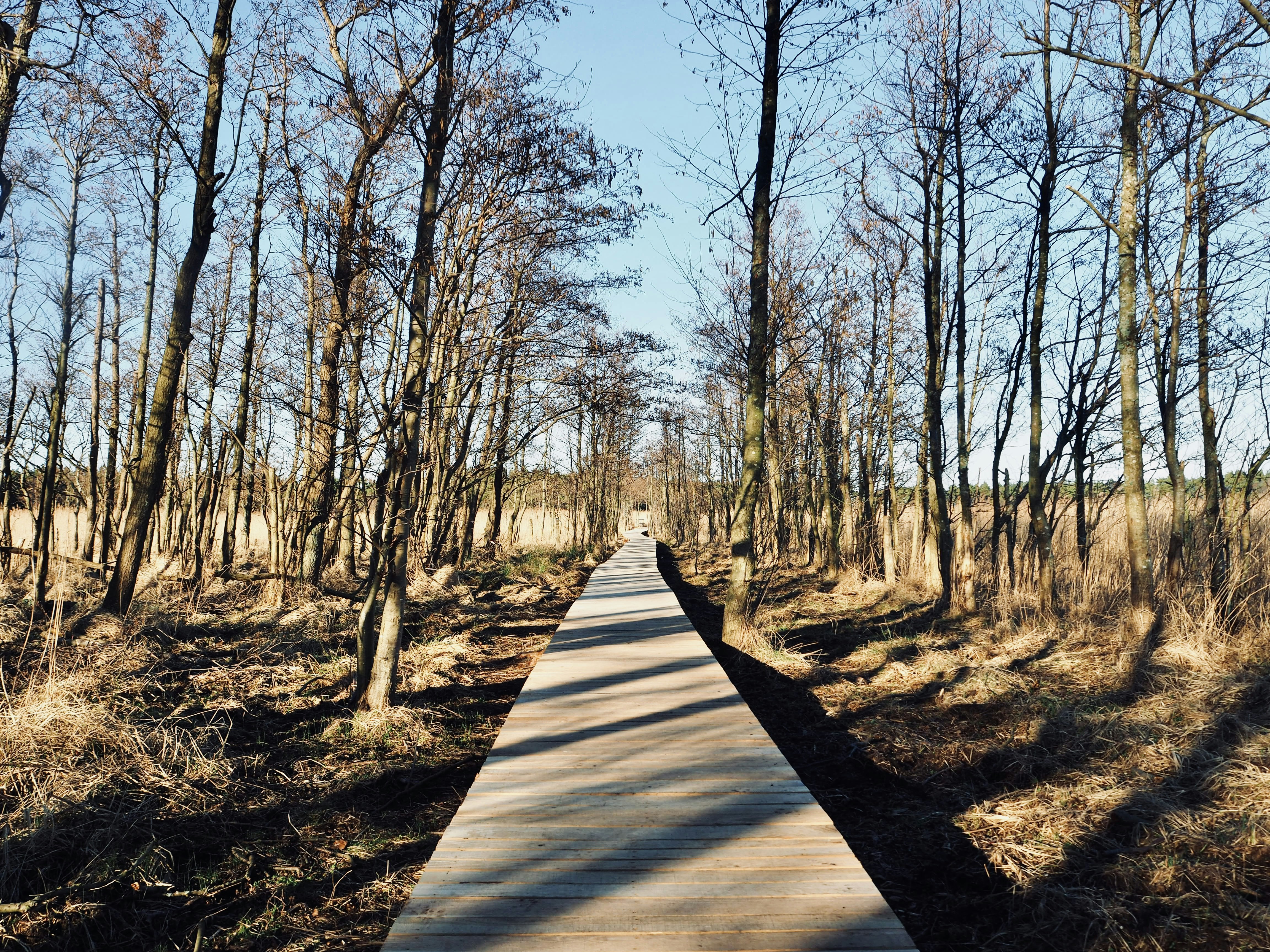 Photo by caroline_2603