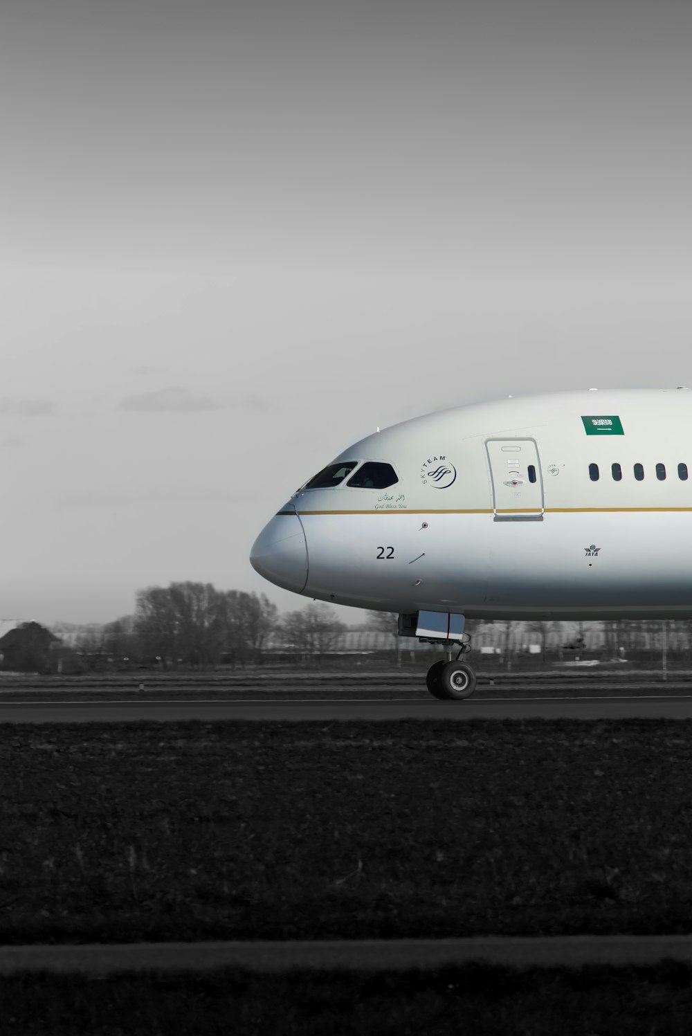 a large jetliner sitting on top of an airport runway