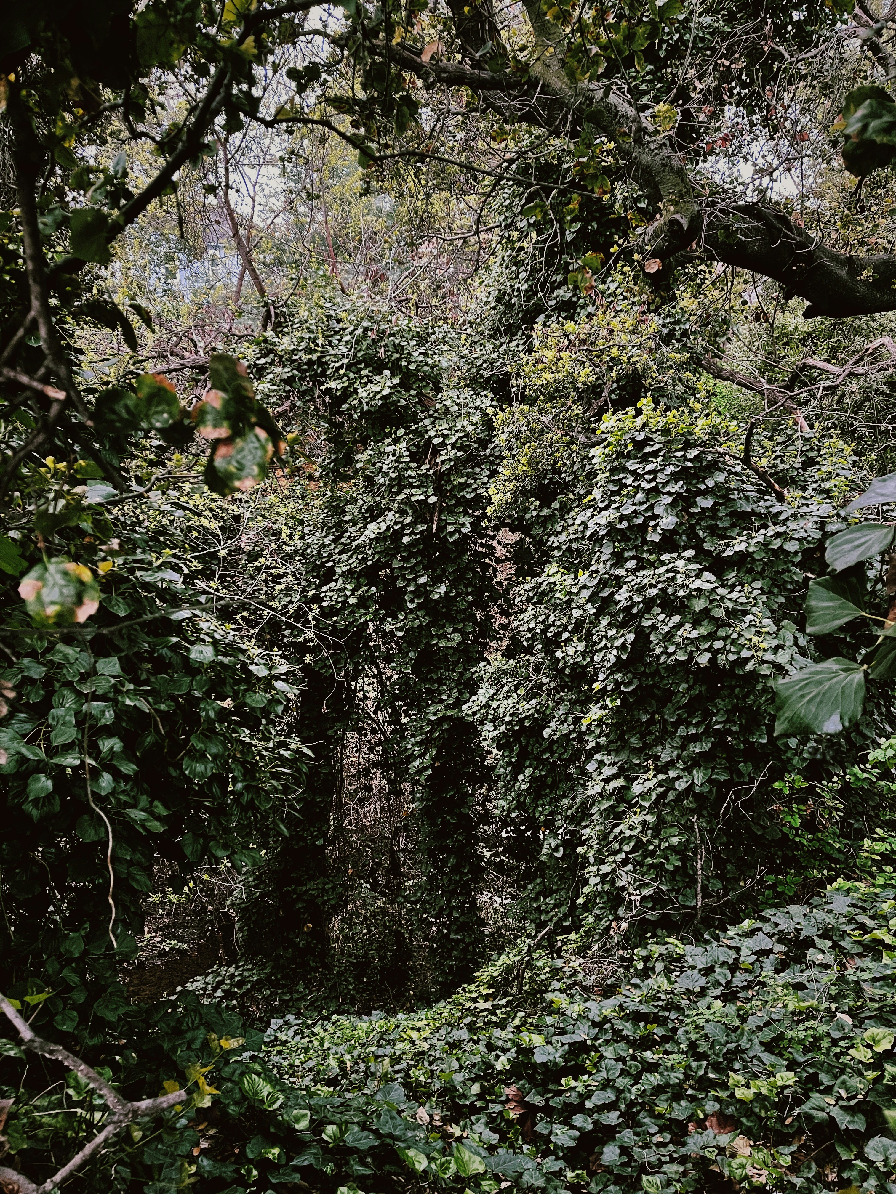 Photo by christopherstites