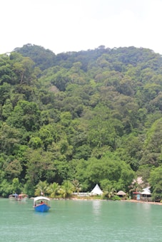 A lush green forest covers a hillside, with dense vegetation and a variety of trees. The foreground features a calm body of water reflecting a pale turquoise color. Several small boats are floating on the water, heading towards a small shore. The shoreline is lined with palm trees, and there is a white tent set up near a sign that reads 'DAYANG BUNTING MARBLE GEOFOREST PARK.' The scene conveys a sense of tranquility and natural beauty.