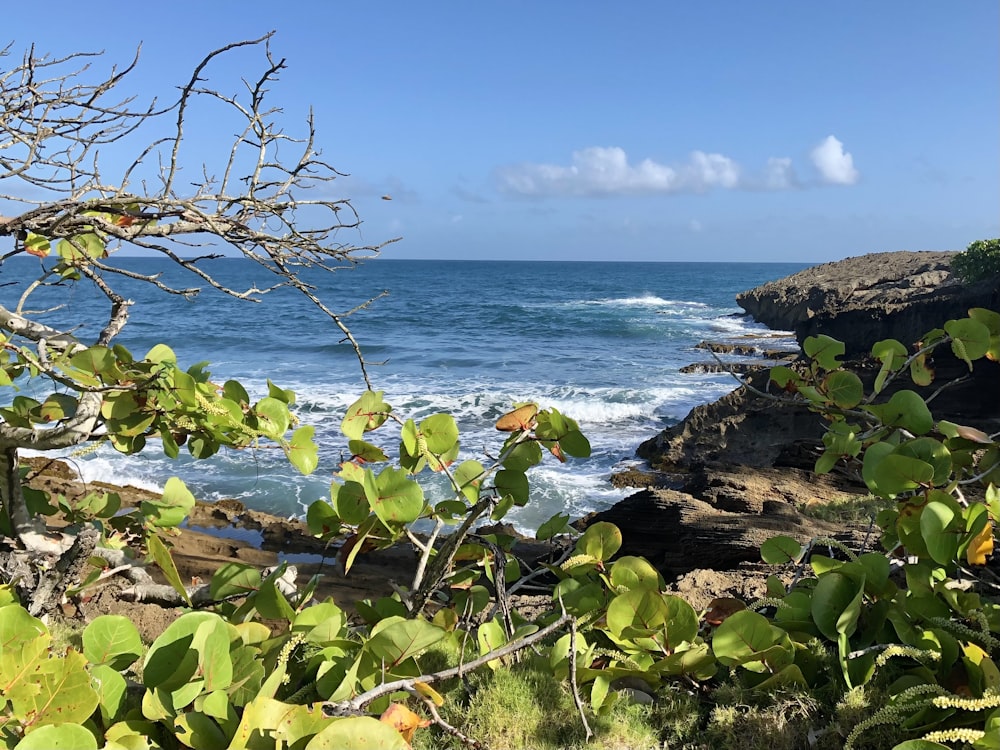 a view of the ocean from a rocky cliff