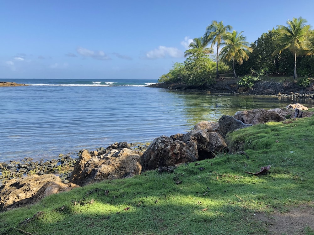 a view of a body of water near a beach